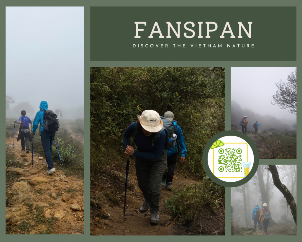 Review Cung Đường Trekking Phan Xi Păng (Fansipan)