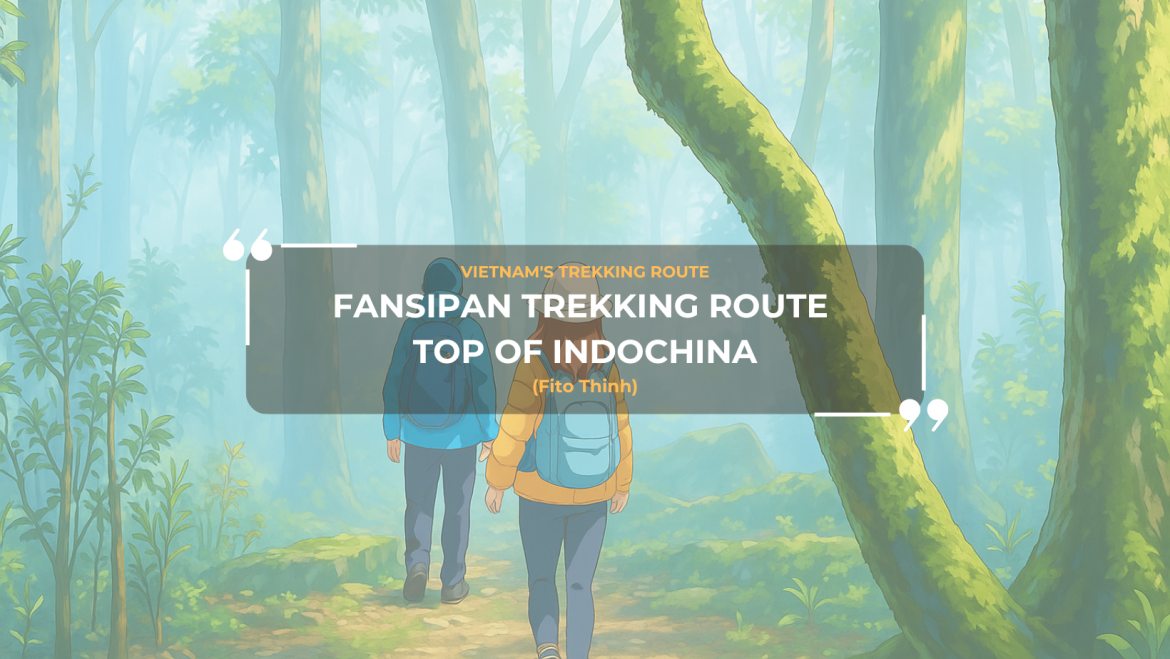 Review Cung Đường Trekking Phan Xi Păng (Fansipan)